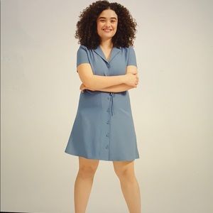 Everlane Japanese GoWeave Notch Shirtdress (8)